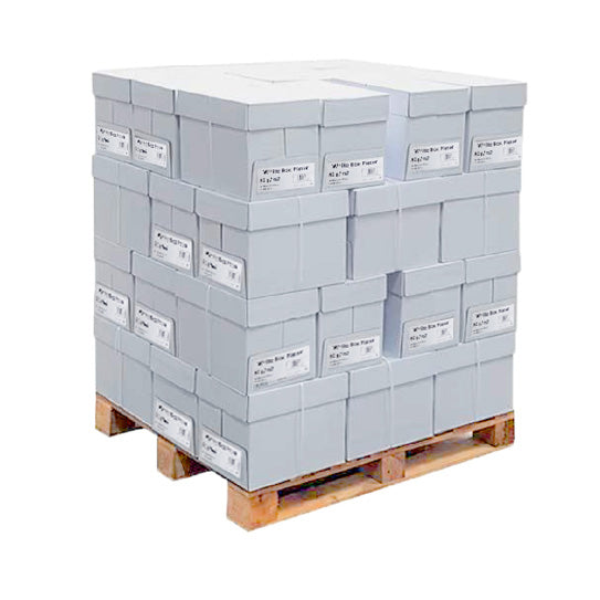 LASER PLUS Universal Kopierpapier zweifach gelocht