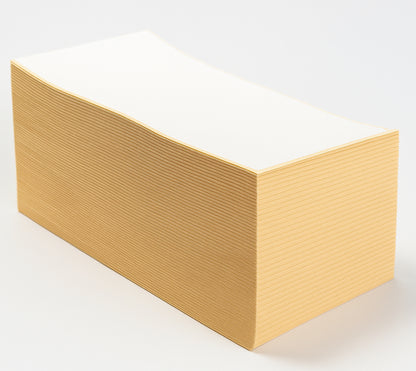 Versandlabel Thermodirekt Faltband 103 x 199 / 10 Verpackungseinheiten